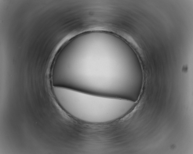 X0000101701181200807101339