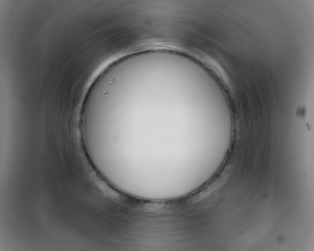 X0000101701182200807101339