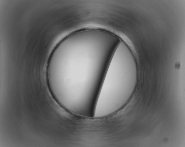 X0000101701183200807101339