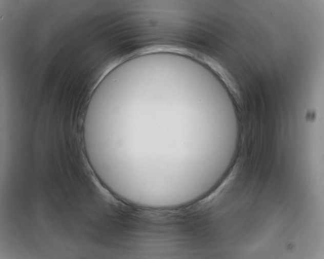 X0000101701185200807101339
