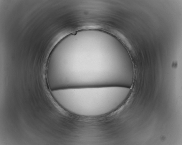 X0000101701186200807101339
