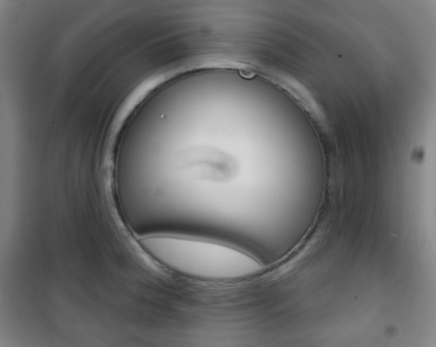 X0000101701188200807101339