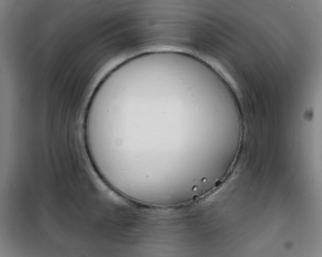 X0000101701189200807101339