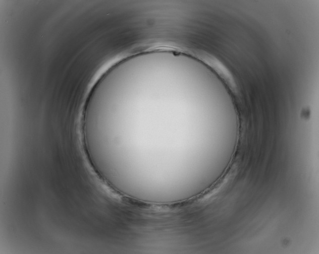 X0000101701190200807101338