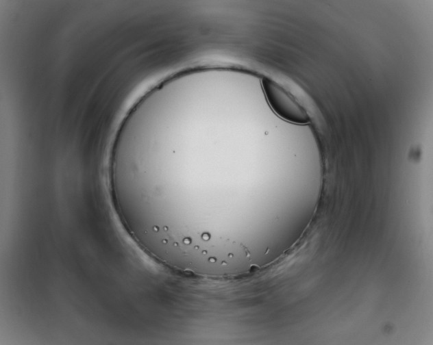 X0000101701191200807101338