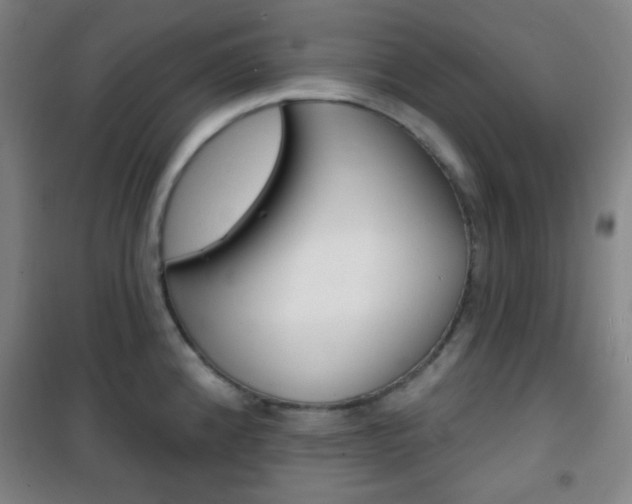 X0000101701192200807101338