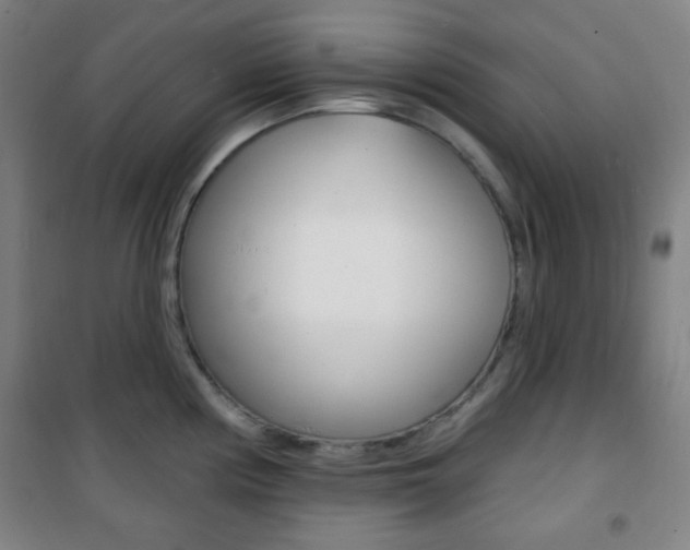 X0000101701194200807101338