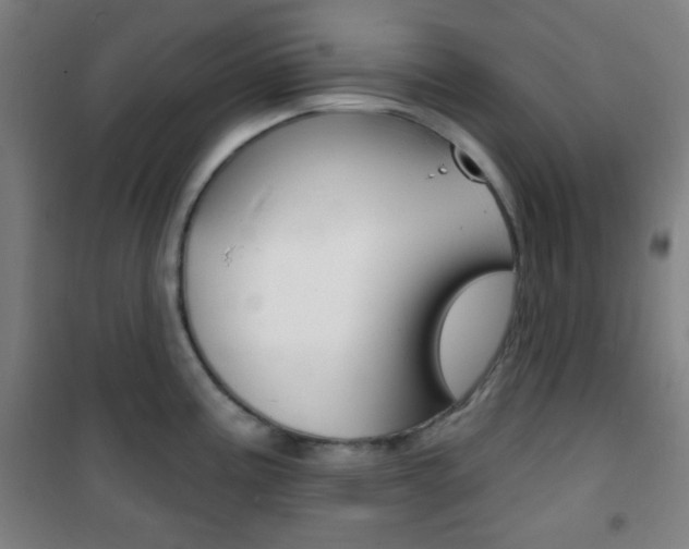 X0000101701195200807101338