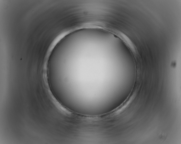 X0000101701196200807101338