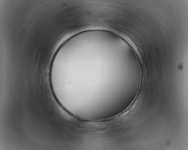 X0000101701197200807101338
