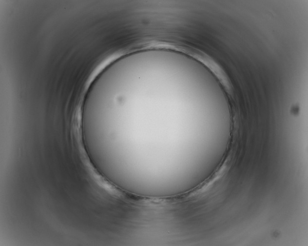 X0000101701198200807101338