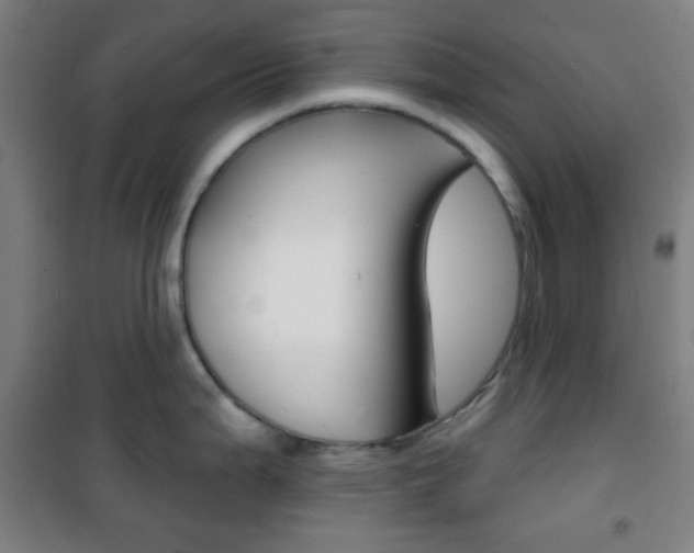 X0000101701199200807101338