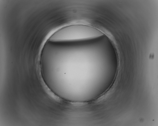 X0000101701200200807101338