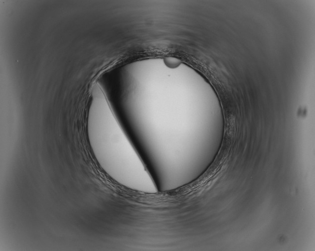 X0000101701201200807101338