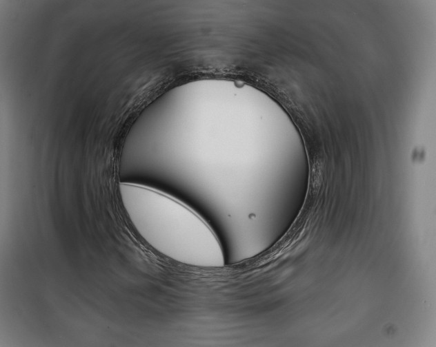 X0000101701202200807101338