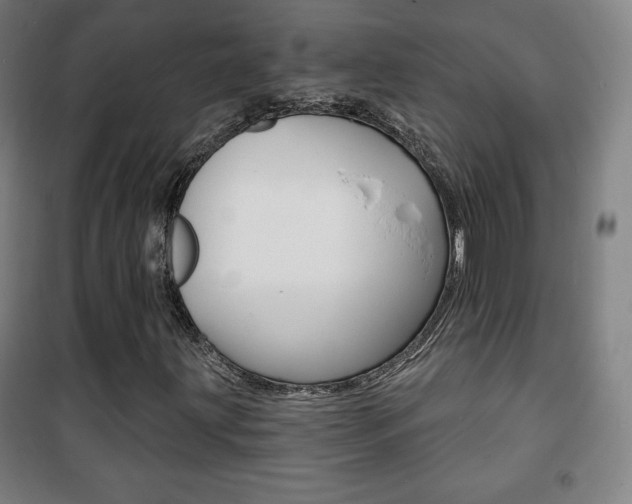 X0000101701203200807101338