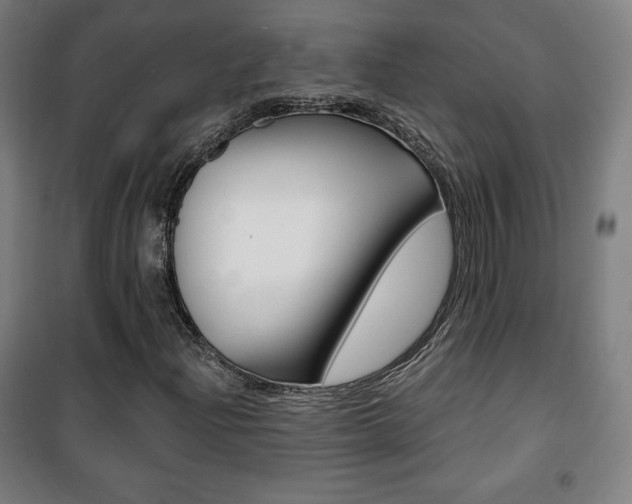 X0000101701204200807101338