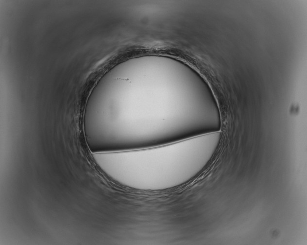 X0000101701205200807101338