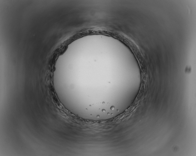 X0000101701207200807101338