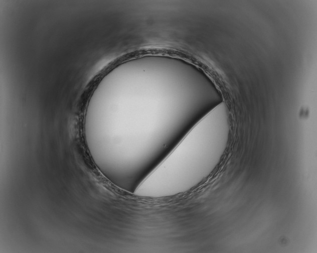 X0000101701208200807101338