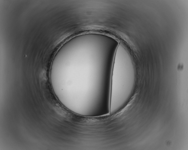 X0000101701209200807101338