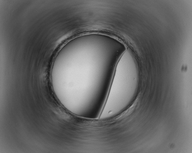 X0000101701210200807101338