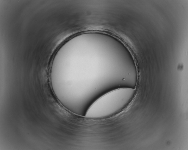 X0000101701212200807101338