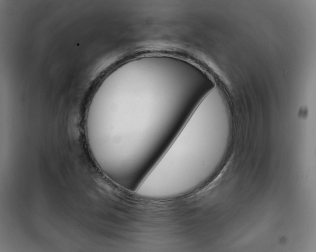 X0000101701213200807101338