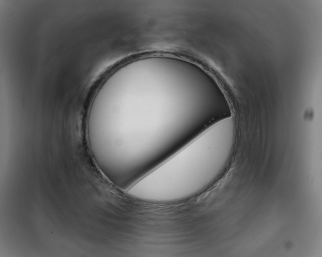 X0000101701214200807101338