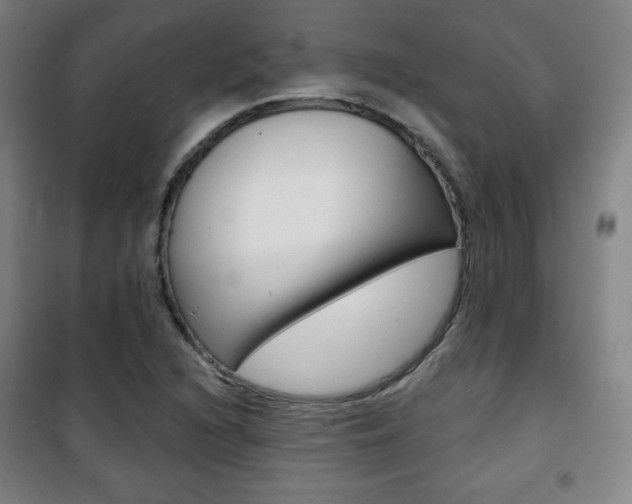 X0000101701216200807101338