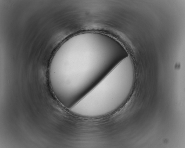 X0000101701217200807101338