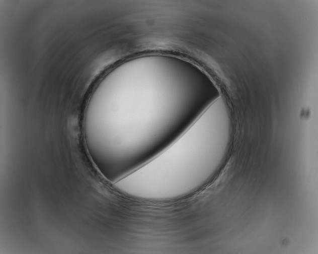 X0000101701218200807101338