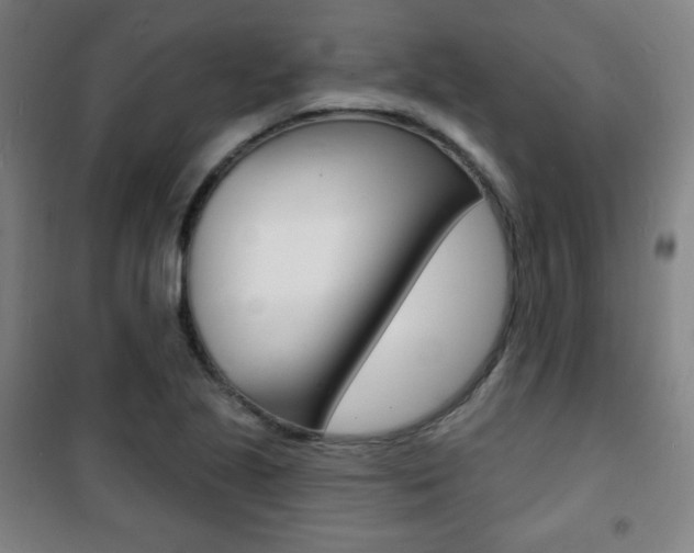 X0000101701221200807101338