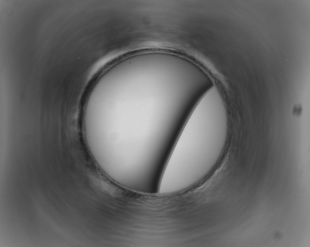X0000101701222200807101338
