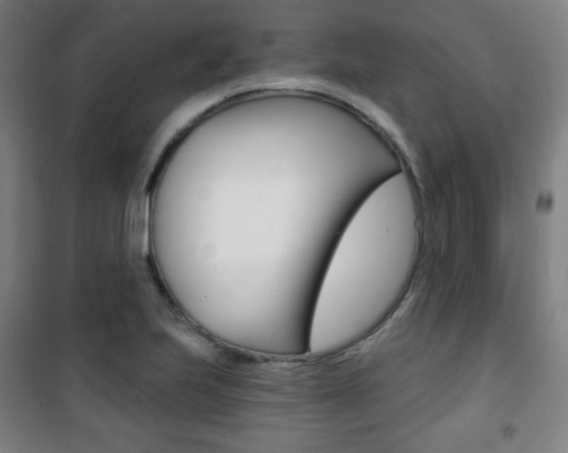 X0000101701223200807101338