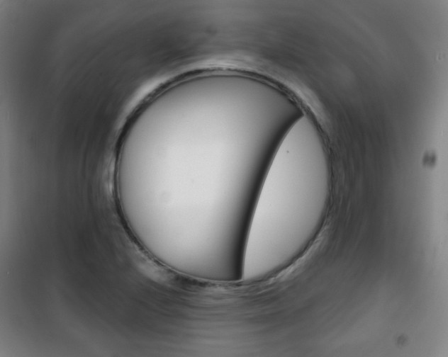 X0000101701224200807101338