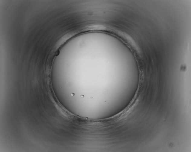 X0000101701225200807101338