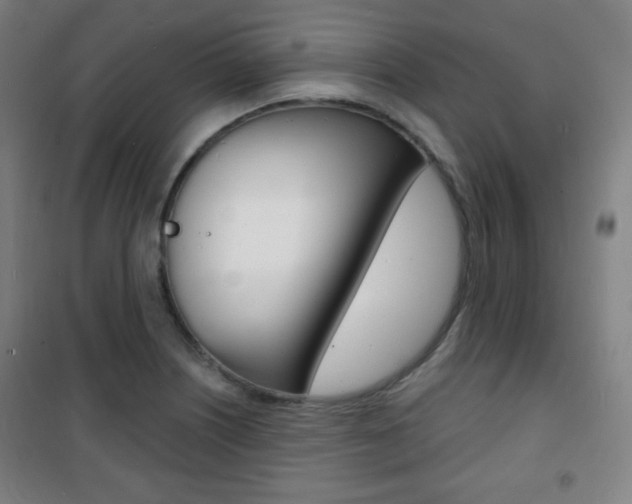 X0000101701226200807101338