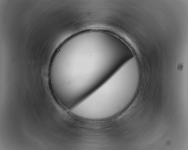 X0000101701229200807101338