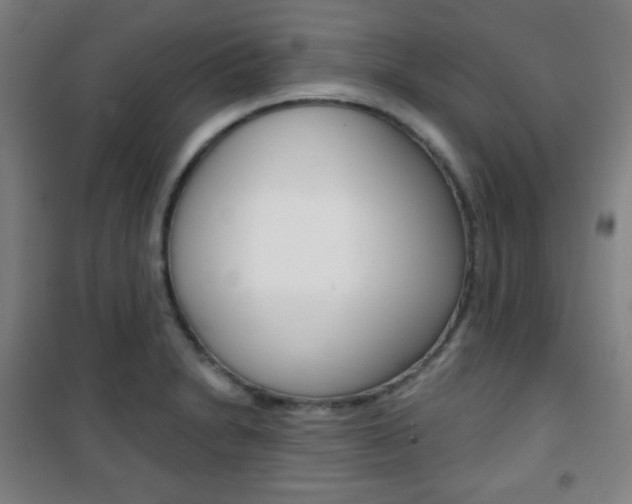X0000101701230200807101338