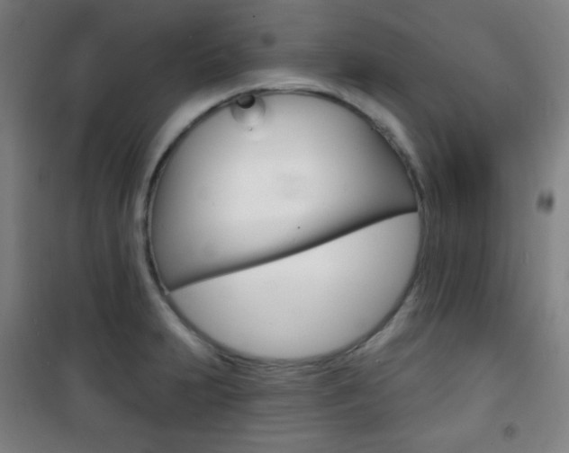 X0000101701231200807101338