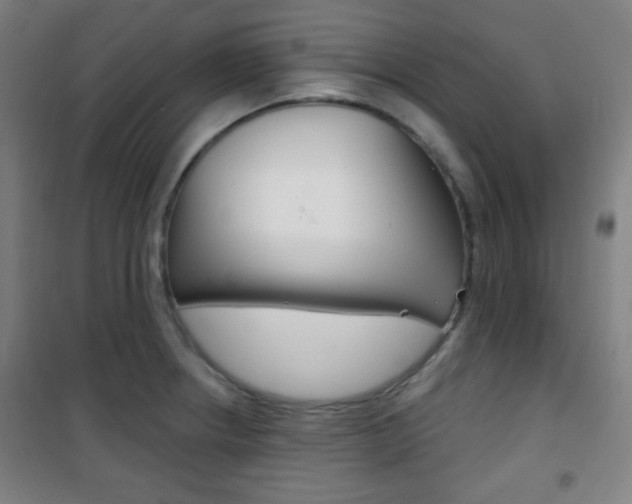 X0000101701234200807101338