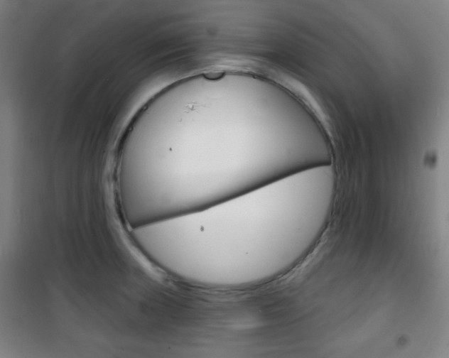 X0000101701235200807101338
