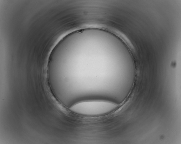 X0000101701236200807101338