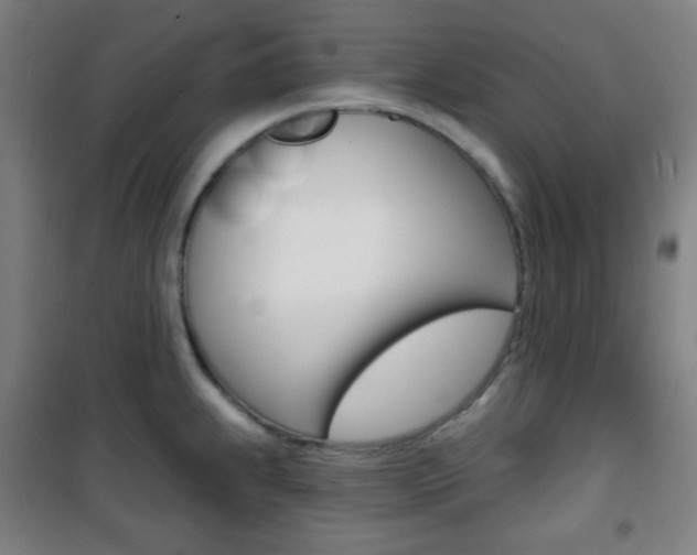X0000101701239200807101338