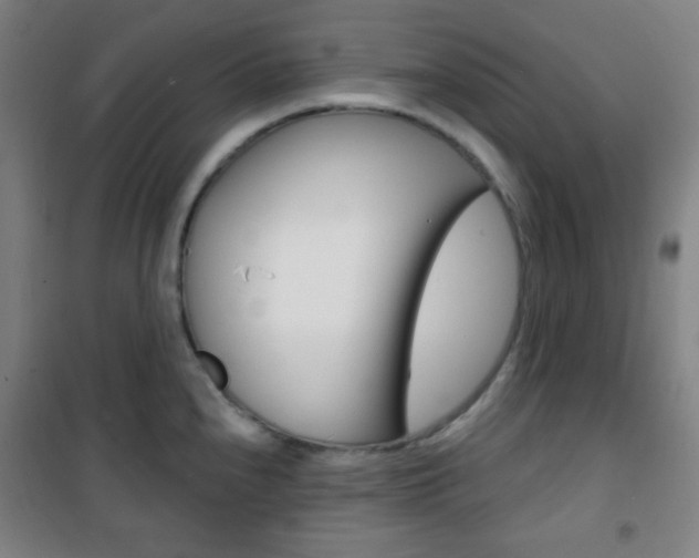 X0000101701240200807101338