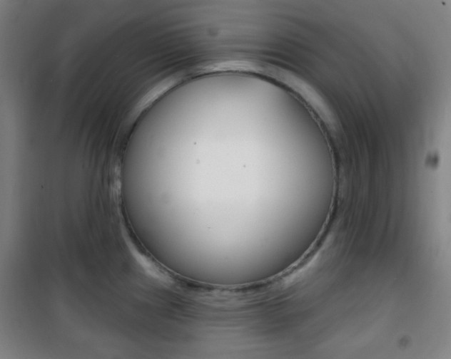 X0000101701241200807101338