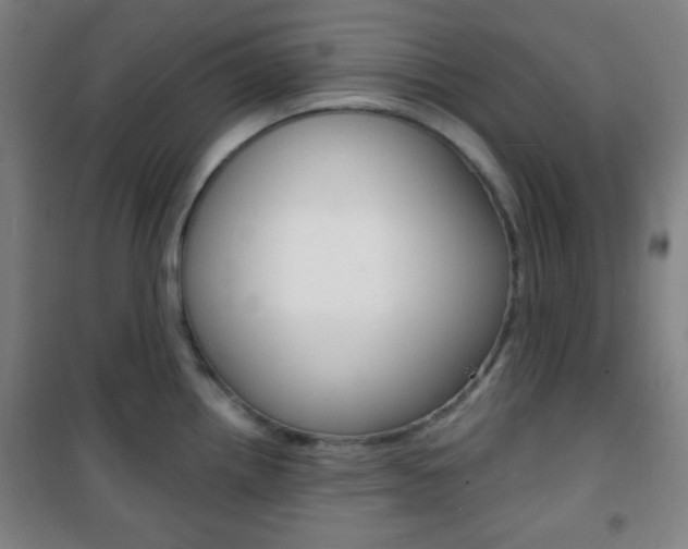 X0000101701242200807101338