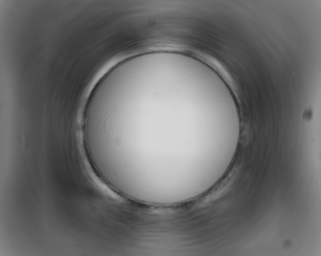 X0000101701243200807101338