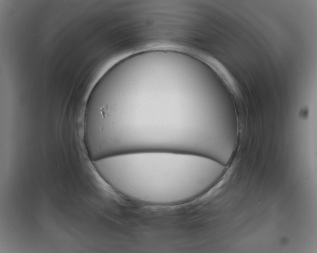 X0000101701244200807101338